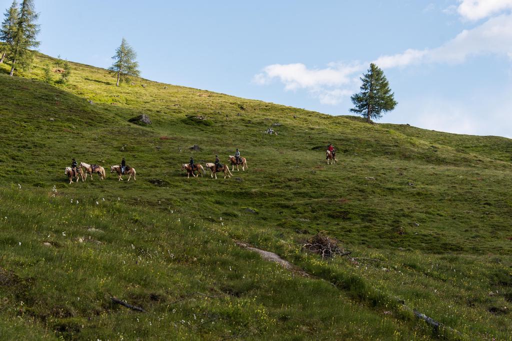 Landhaus Alpenrose - Feriendomizile Pichler Heiligenblut Zewnętrze zdjęcie